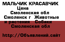 МАЛЬЧИК-КРАСАВЧИК › Цена ­ 10 000 - Смоленская обл., Смоленск г. Животные и растения » Собаки   . Смоленская обл.